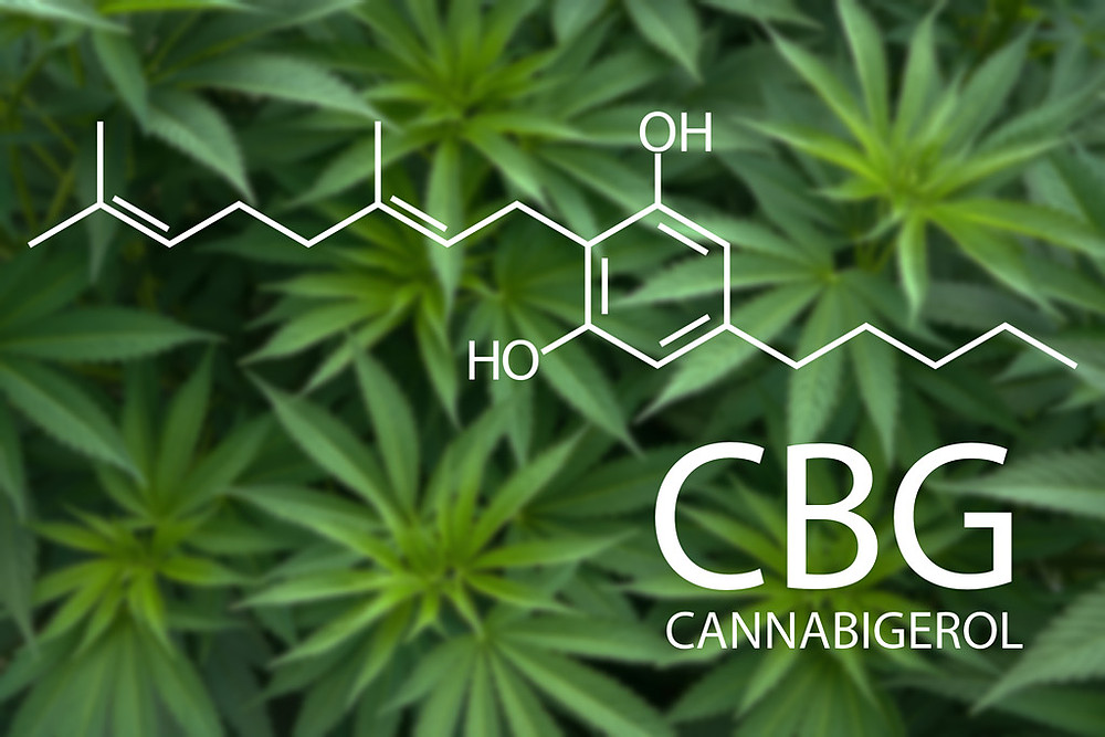 CBG - kanabigerol - účinky a benefity, kompletní průvodce