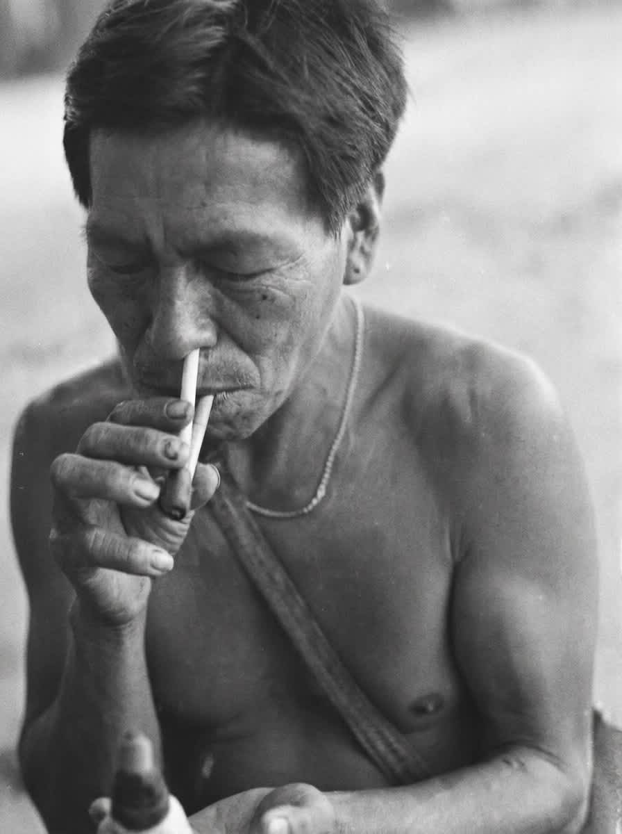 Rap&eacute; kuripe