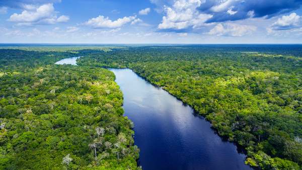 Amazonsky prales Brazilia reka