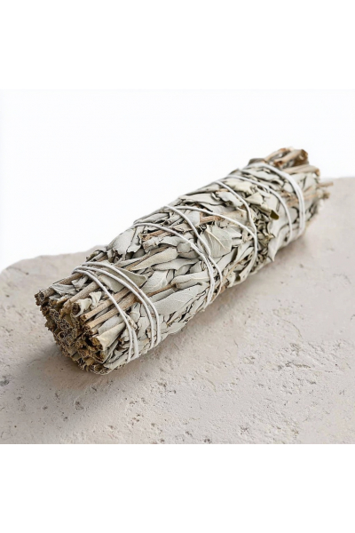 Obrázek pro Šalvěj Bílá extra velká 23cm