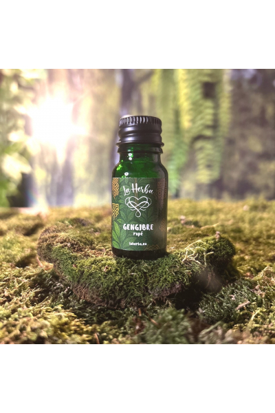 Rapé Gengibre Obrázek pro Rapé Gengibre