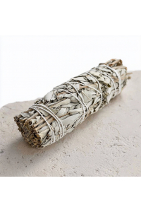 Obrázek pro Šalvěj Bílá extra velká 23cm