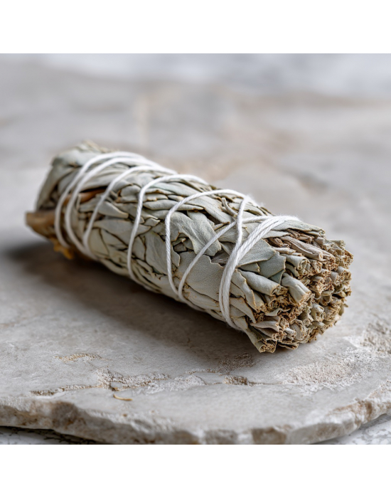 Obrázek pro Šalvěj bílá (Salvia Apiana) 