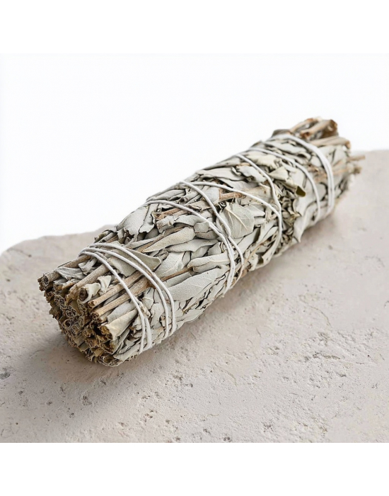 Obrázek pro Šalvěj Bílá extra velká 23cm